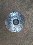 CASS-1.gif