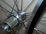 DSCN4684.jpg