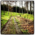 photo (2).jpg