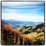 photo (3).jpg