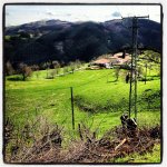 photo (9).jpg