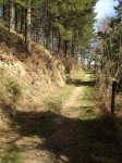 photo (11).jpg
