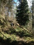 photo (12).jpg