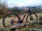 wilier 101xn..jpg
