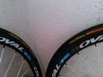 IMG_20130325_12231700.jpg