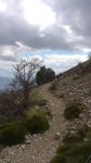 DSC_0027-1.jpg