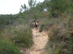 dsc05527v.jpg