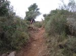 dsc05534o.jpg