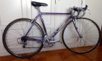 130324 biondi1.jpg