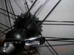 DSCN1518.jpg