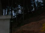 DSCN2745.JPG