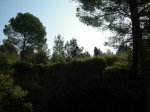 DSCN2770.JPG
