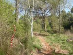 DSCN2782.JPG