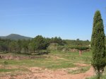 DSCN2815.JPG