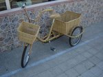 rattanwebmillan2 016.jpg
