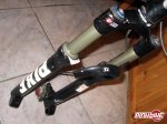 pbpic1201117.jpg