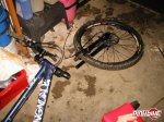 pbpic1179817.jpg