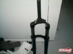 pbpic1124067.jpg