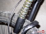 pbpic986087.jpg