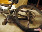 pbpic980278.jpg