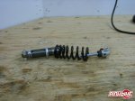 pbpic971278.jpg