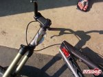 pbpic601043.jpg