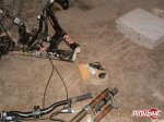 pbpic447903.jpg