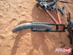 pbpic211328.jpg