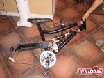 pbpic44909.jpg