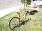 rattanbike2.jpg