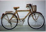 bamboorattanbike.jpg