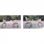 bambootribikes.jpg