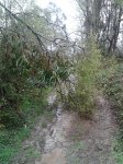 2013-03-25 12.11.40.jpg