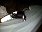 IMG-20130325-WA0014.jpg
