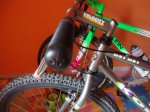 DSC08101.JPG