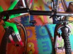 DSC08103.JPG