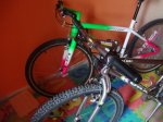 DSC08104.JPG