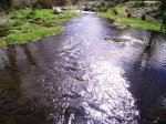 IMG_20130327_100947.jpg