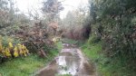 2013-03-27 18.51.58 (Copiar).jpg