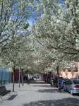 DSC00467.jpg