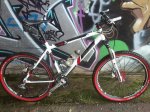 bici muro 1.jpg