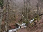 IMG_2724_1000x750.jpg