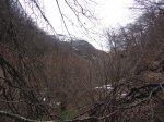 IMG_2730_1000x750.jpg