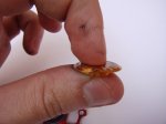 DSC02044.JPG