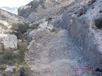 DSC04799.jpg
