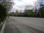 Paseo de coches 2.jpg