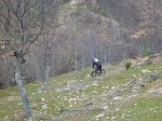 P1000300.jpg