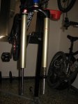 IMG_1343.jpg