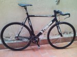 Visp 750 (13).jpg