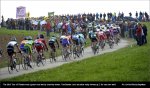rvv12-curve.jpg